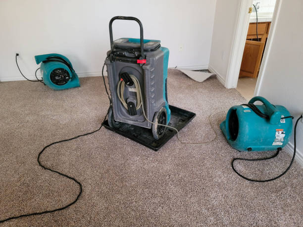 Best Water damage restoration near me  in New Kingman Butler, AZ