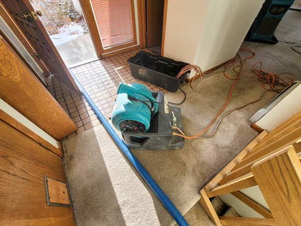 Best Ceiling water damage repair  in New Kingman Butler, AZ