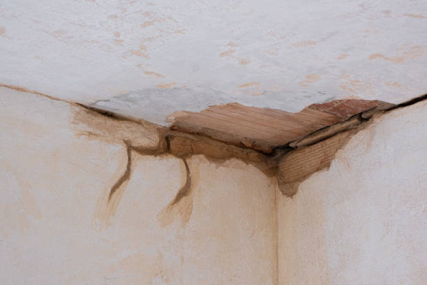 Best Residential water damage restoration  in New Kingman Butler, AZ
