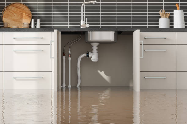Reliable New Kingman Butler, AZ Water damage restoration Solutions