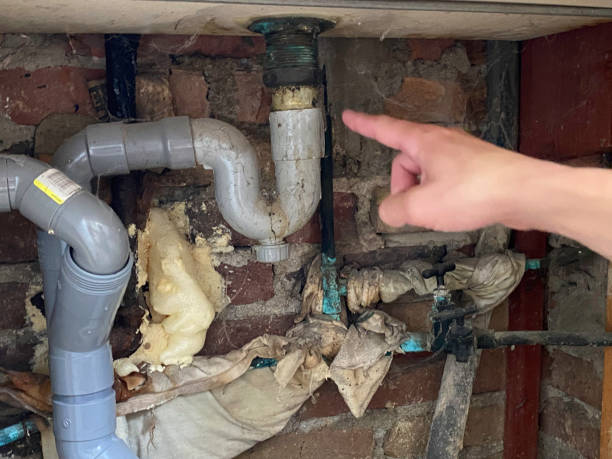 Best Water damage restoration near me  in New Kingman Butler, AZ