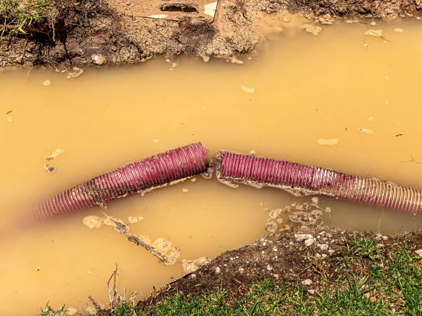 Best Flood damage cleanup  in New Kingman Butler, AZ