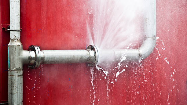 Best Professional water damage repair  in New Kingman Butler, AZ